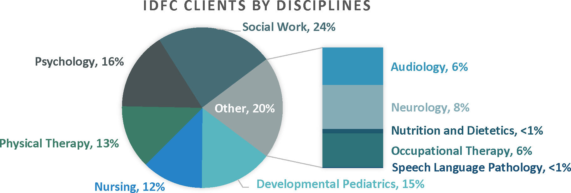 Pie Chart of Infant Development Follow-Up Clinic Clients by Disciplines. Social Work 24%, Psychology 16%, Developmental Pediatrics 15%, Physical Therapy 13%, Nursing 12%.