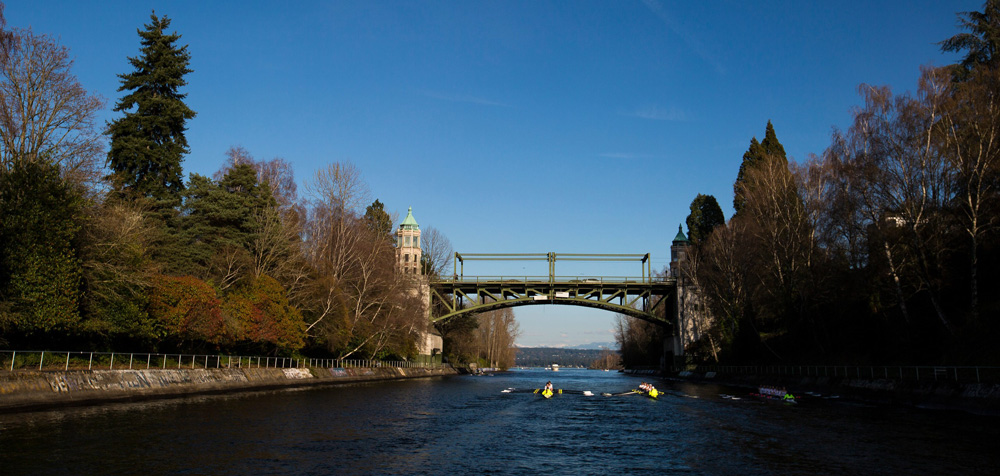Photo of rowers rowing under Montlake Bridge near the UW Campus