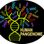 Human Pangenome Consortium Logo