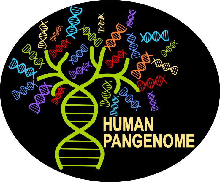 Human Pangenome Consortium Logo