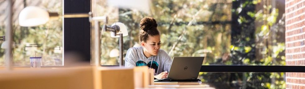 Photo of a University of Washington student looking at their computer in a UW library.