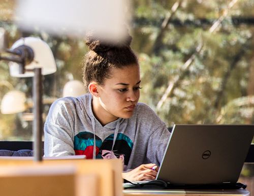 Thumbnail photo of UW Student working on their laptop in a UW Library.