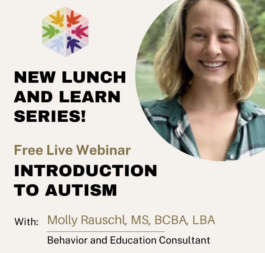Image: Flyer for a Lunch and Learn webinar with Molly Rauschl of the UW Autism Center