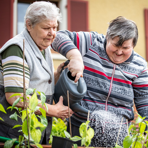 Parent and disabled adult child watering plants in a garden.