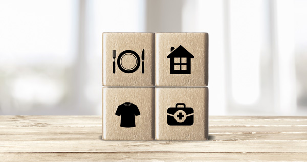 Stacked blocks representing food, shelter, clothing and medical.