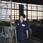 UWEP Marks 50 Years of Inclusive Employment