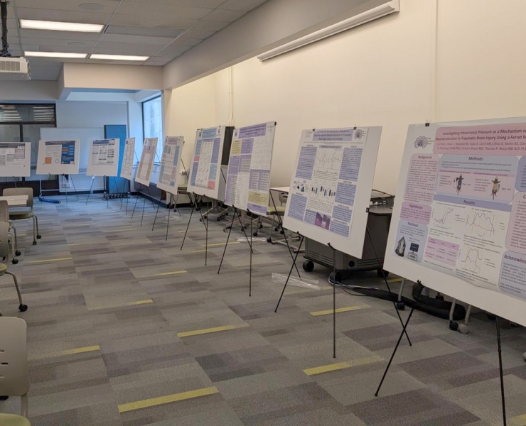 From Discovery to Impact: IHDD Networking Day 2025